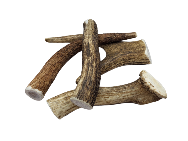 What Are The Best Antler Chew For Dogs - Antler Dog Treats – Ruff Pet Chews