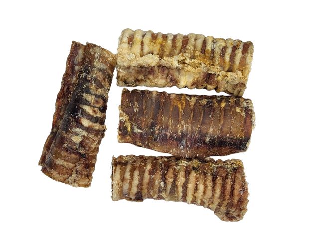 Beef Trachea Dog Chews Small 12 - 15cm