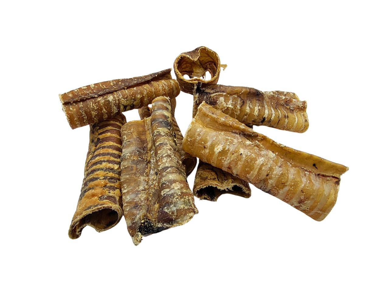 Beef Trachea Dog Chews Small 12 - 15cm